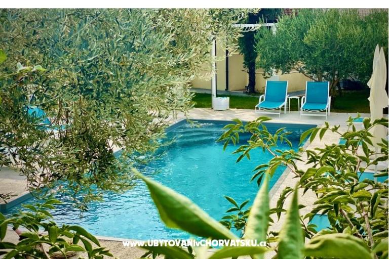 Villa Dube Slano/ villa z basenem – foto 4