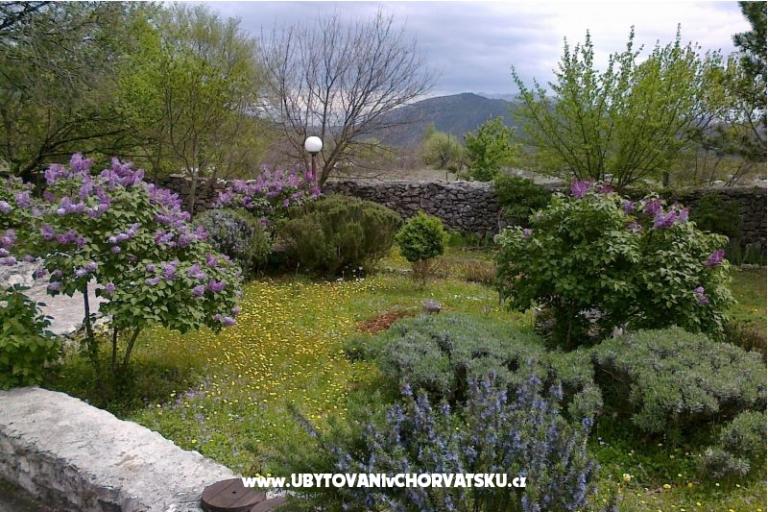 Dom wakacyjny Villa Ivo – foto 10