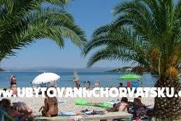 AMOR &amp; ŽANA – foto 2