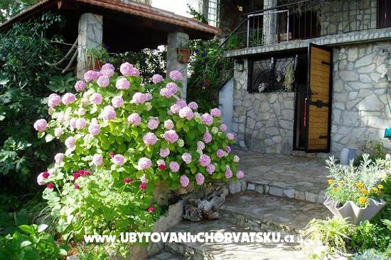 Apartamenty Dada  – foto 6