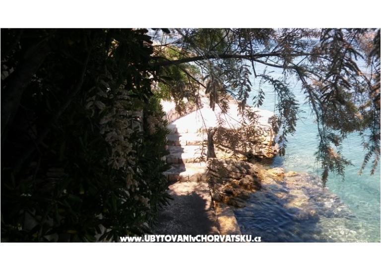 Apartamenty Nikola – foto 4