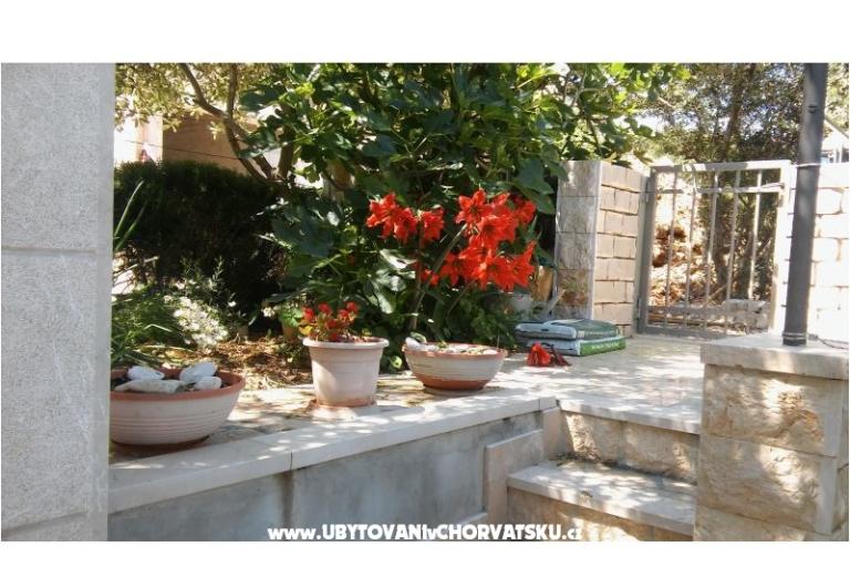 Apartamenty Nikola – foto 5