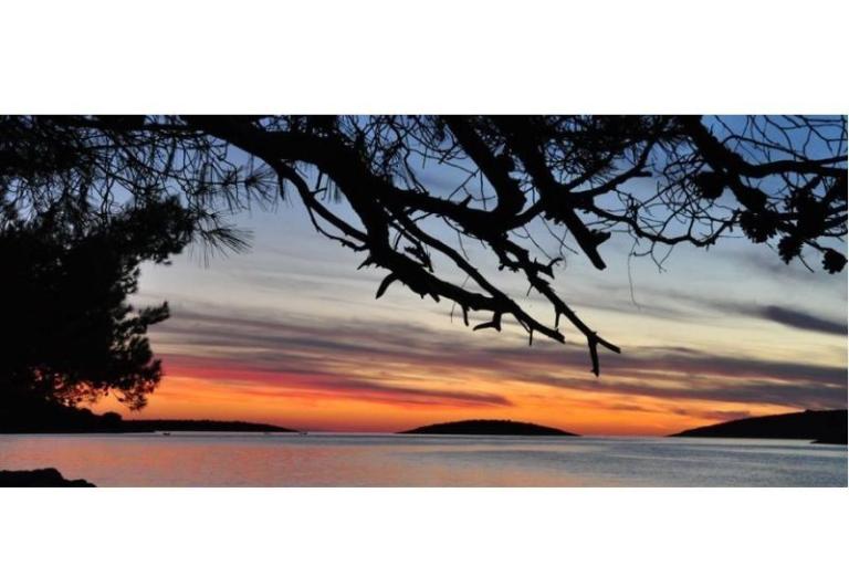 Apartamenty Oliva - Otok Šolta – foto 11