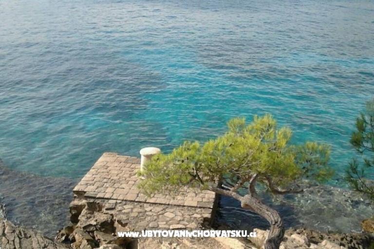 Apartamenty Oliva - Otok Šolta – foto 12