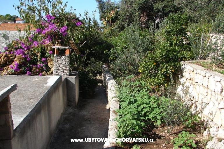 Apartament Terezija – foto 6