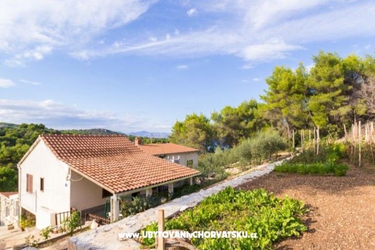 Apartamenty Solta – foto 16