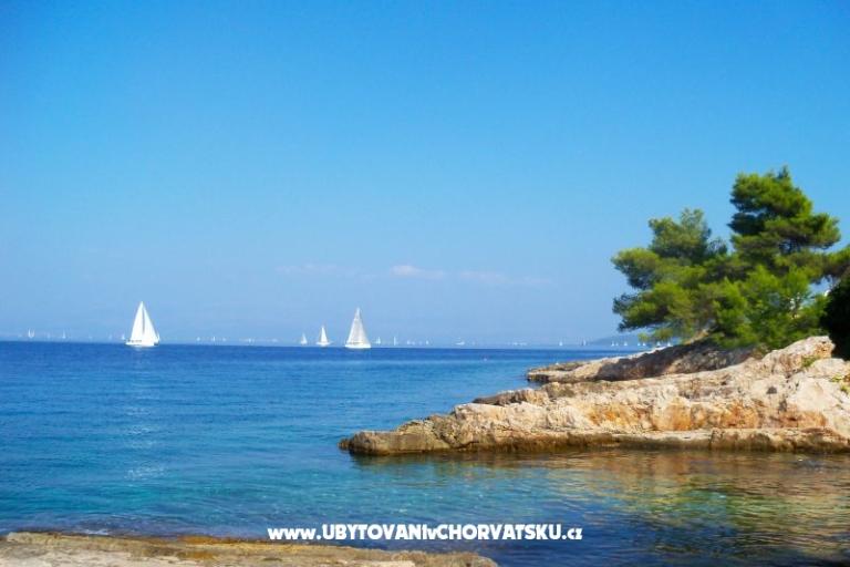 Apartamenty Mario – foto 11