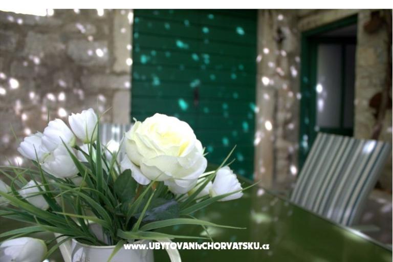 Hacienda Dora – foto 45