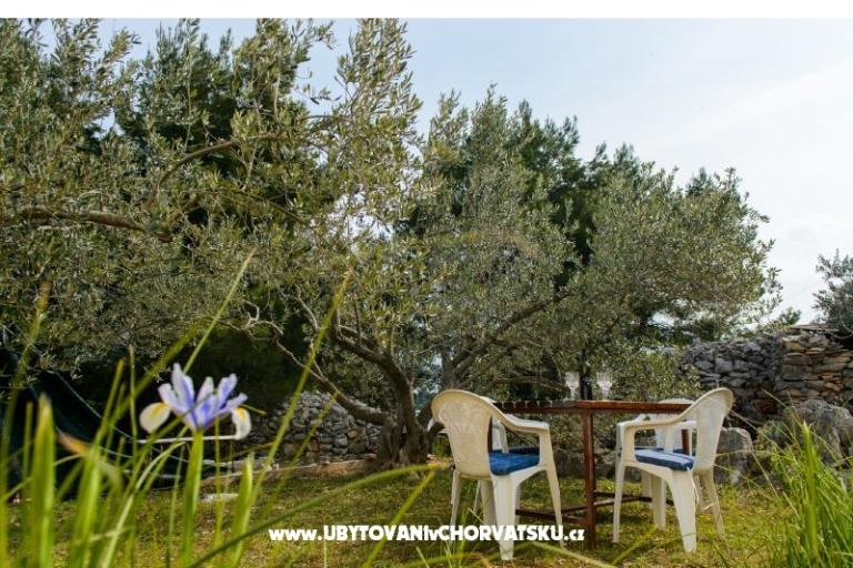 Dom wakacyjny Villa Ante – foto 8