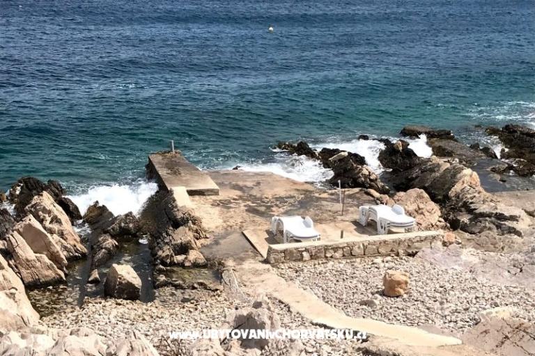 Lipa kuca – foto 21