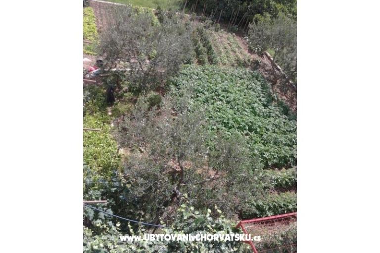 ADRIATIQ Apartamenty – foto 16