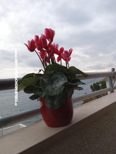 Apartament Jagoda – foto 23