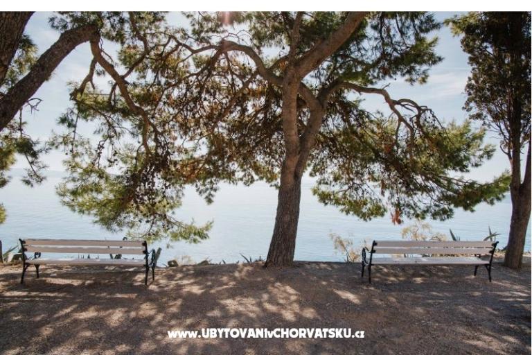 Apartament Mime – foto 22