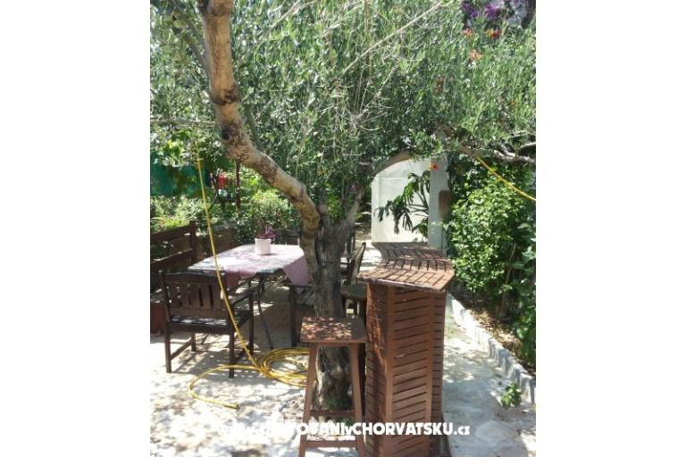 Apartamenty SILVA /                  – foto 12