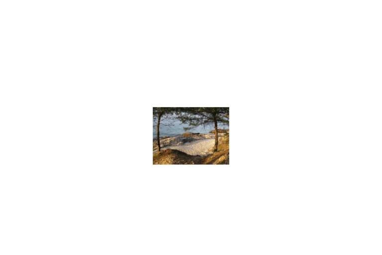 Apartamenty SILVA /                  – foto 15