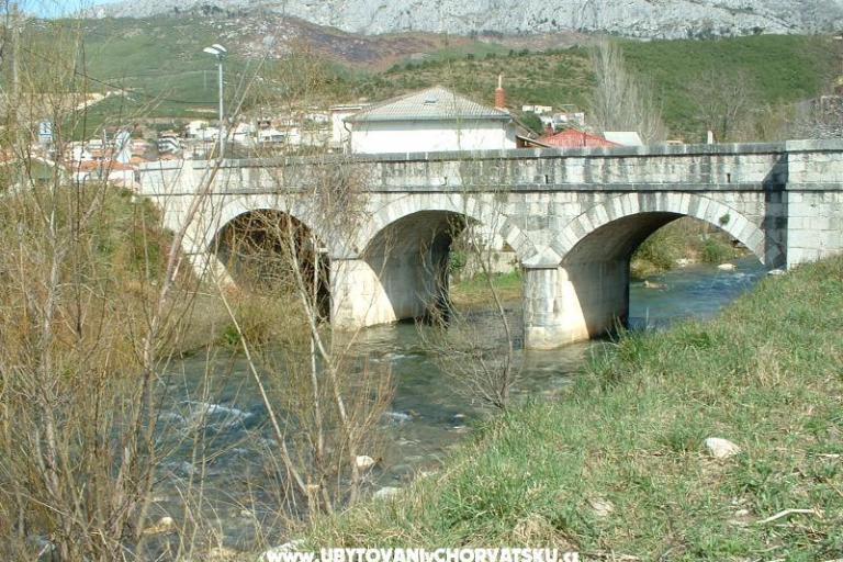 Whole house &amp; garden only for you – foto 17