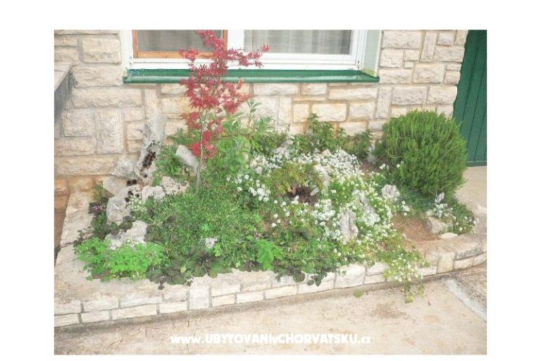 Dom wakacyjny Goga – foto 4