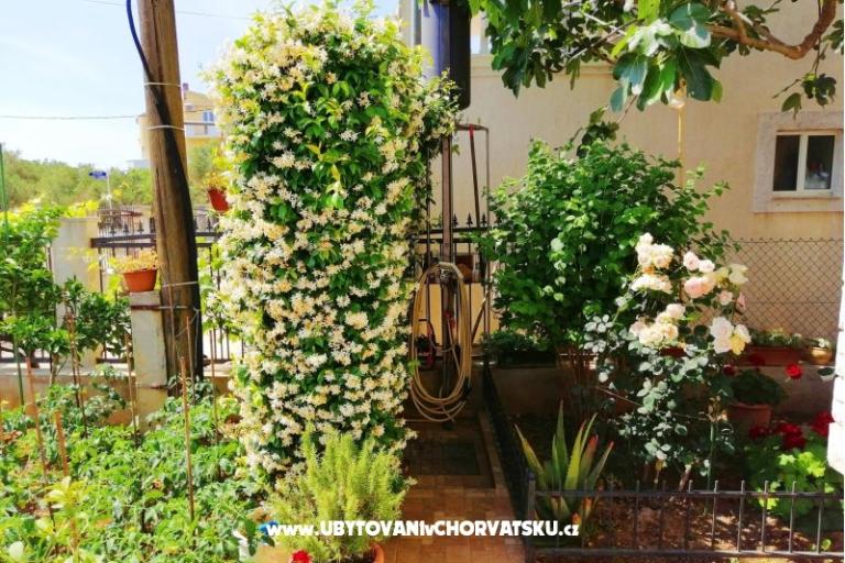 Apartamenty Brković – foto 8