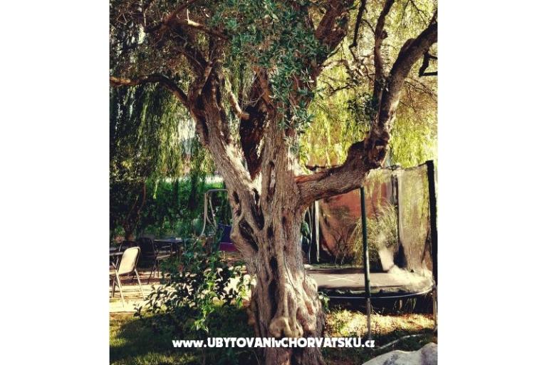 Apartamenty DARIO - Sukošan – foto 11