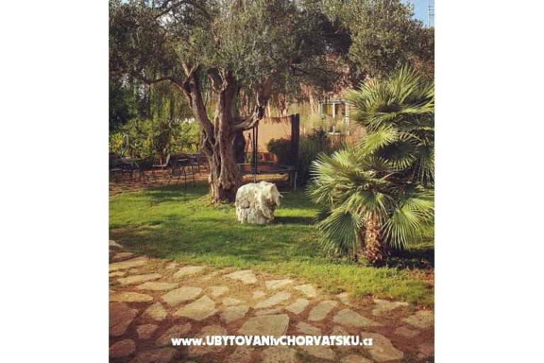 Apartamenty DARIO - Sukošan – foto 12