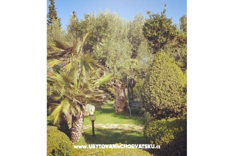 Apartamenty DARIO - Sukošan – foto 13