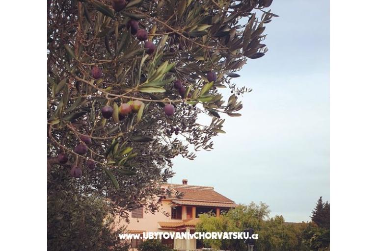 Apartamenty DARIO - Sukošan – foto 14