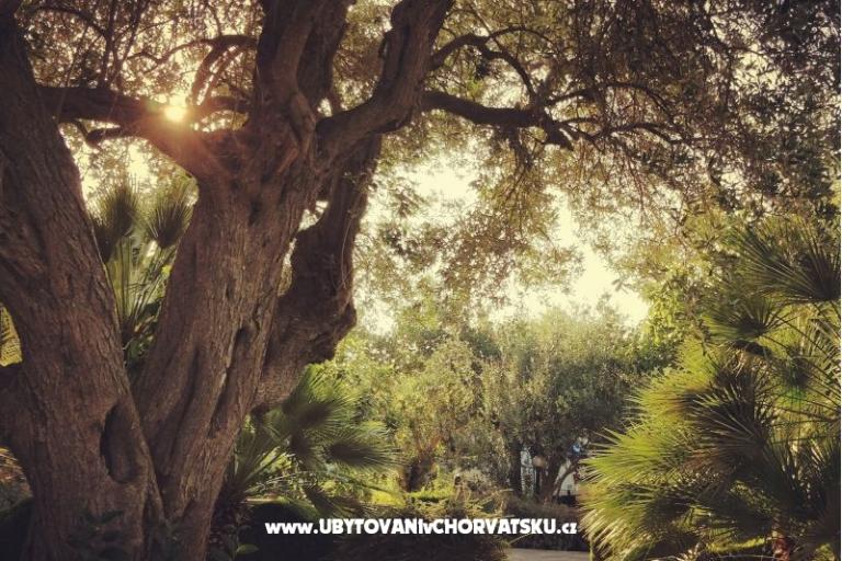 Apartamenty DARIO - Sukošan – foto 26