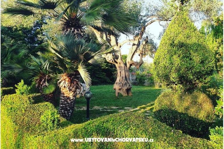 Apartamenty DARIO - Sukošan – foto 31