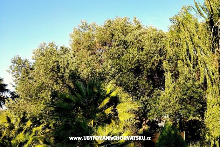 Apartamenty DARIO - Sukošan – foto 37