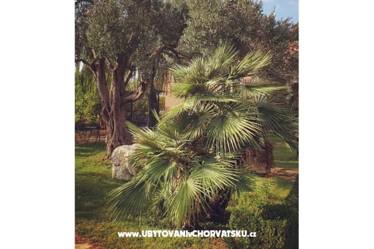 Apartamenty DARIO - Sukošan – foto 47