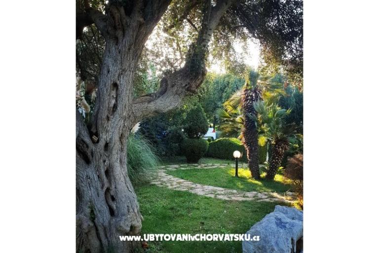 Apartamenty DARIO - Sukošan – foto 53