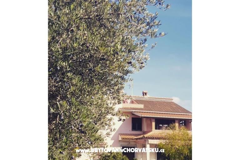 Apartamenty DARIO - Sukošan – foto 54