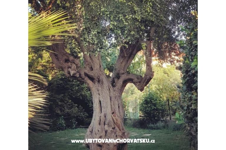 Apartamenty DARIO - Sukošan – foto 55