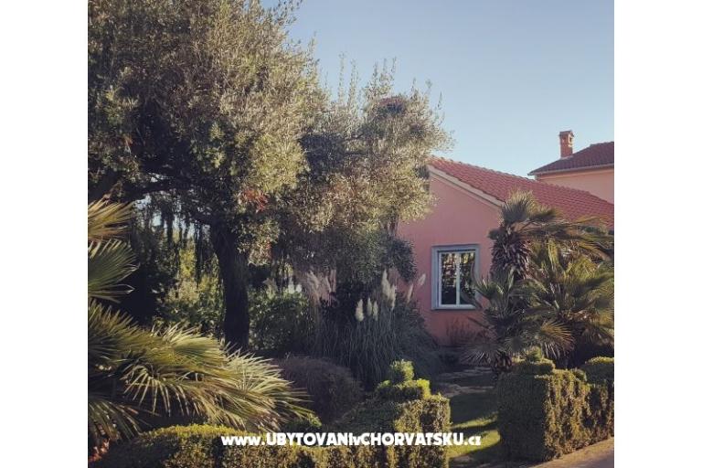 Apartamenty DARIO - Sukošan – foto 62