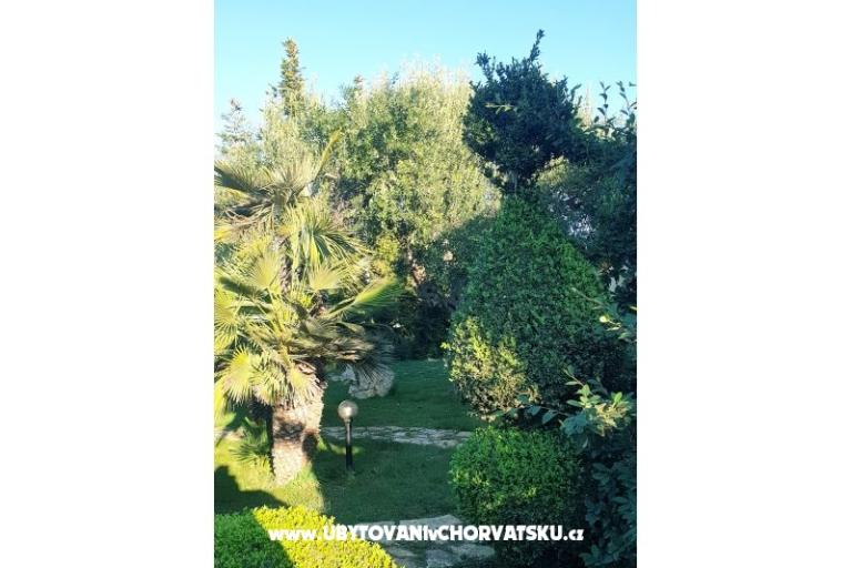 Apartamenty DARIO - Sukošan – foto 63