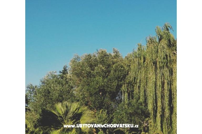 Apartamenty DARIO - Sukošan – foto 72