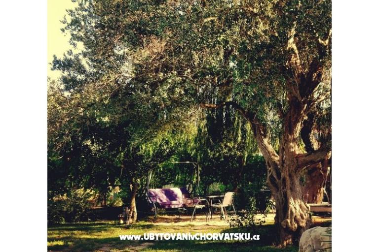 Apartamenty DARIO - Sukošan – foto 74