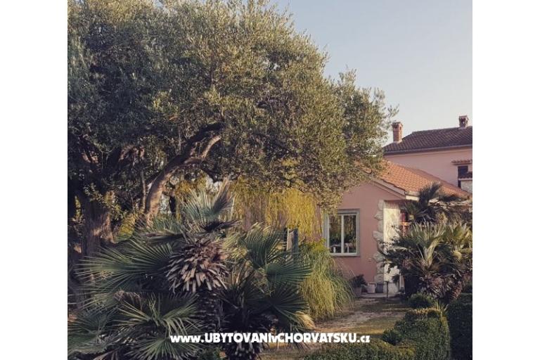 Apartamenty DARIO - Sukošan – foto 77