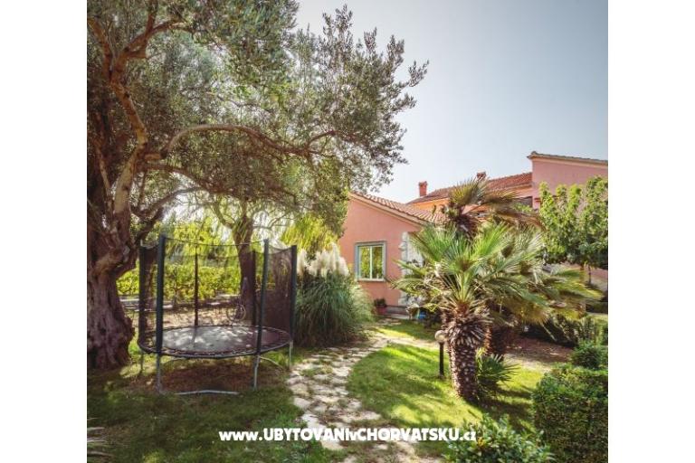 Apartamenty DARIO - Sukošan – foto 8