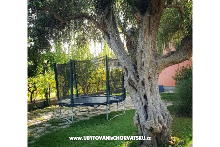 Apartamenty DARIO - Sukošan – foto 9