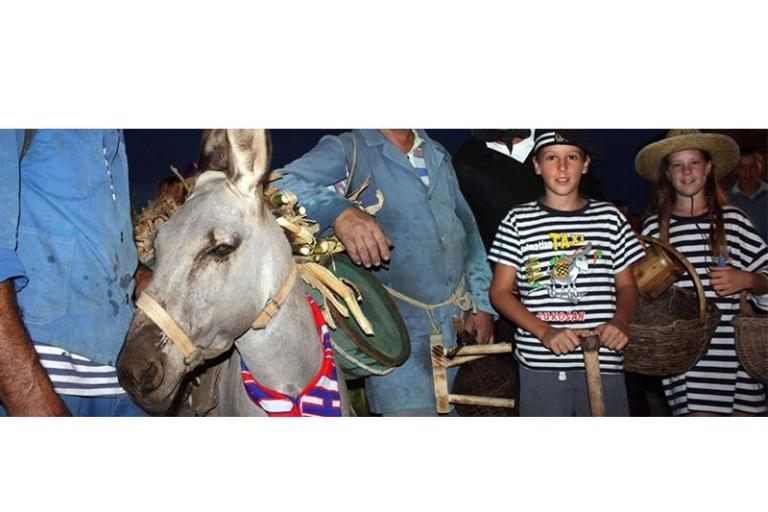 Apartamenty Gašparović – foto 13