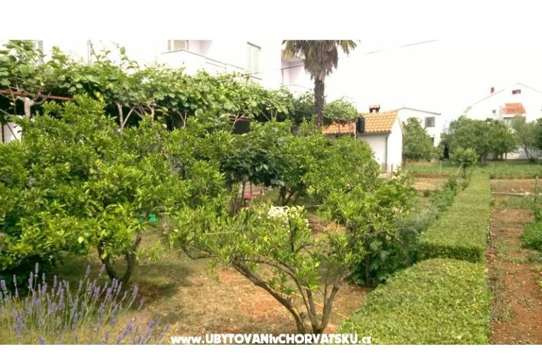 Apartamenty Šarić – foto 11