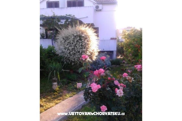 Apartamenty Tamara – foto 18