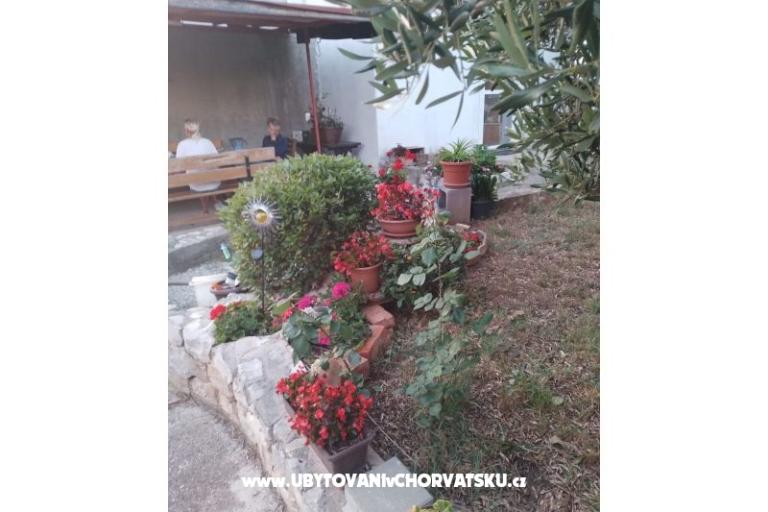 Apartamenty Daša – foto 16