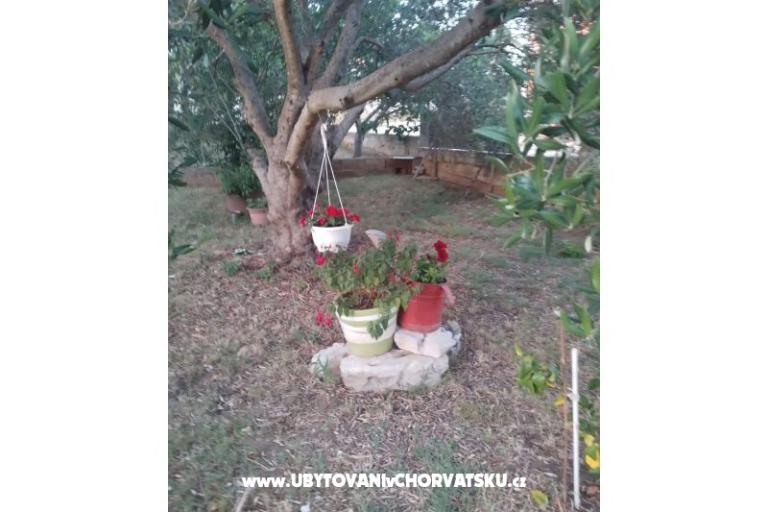 Apartamenty Daša – foto 17