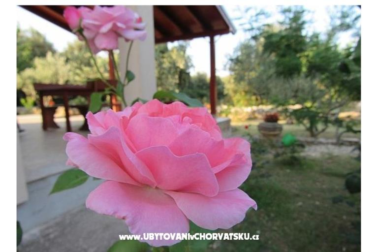 Dom wakacyjny Dević – foto 2