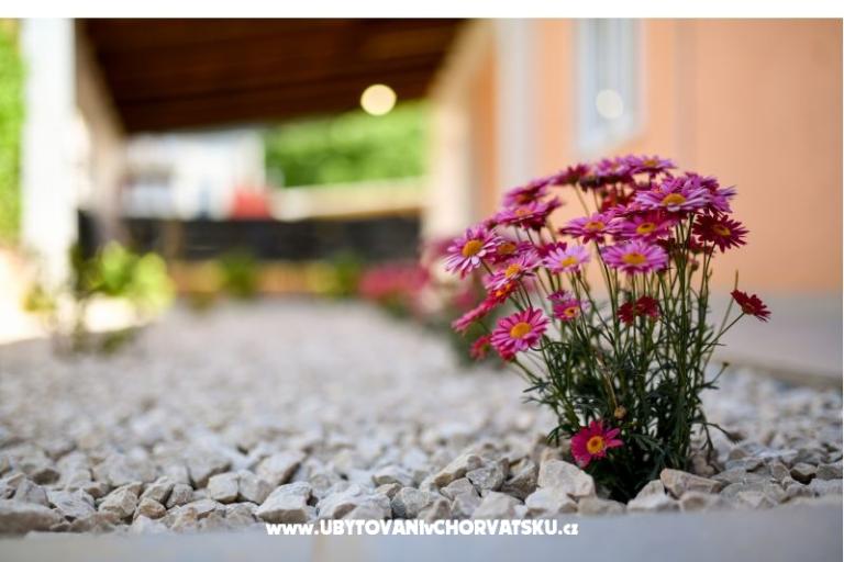 Dom wakacyjny Magdalena – foto 17