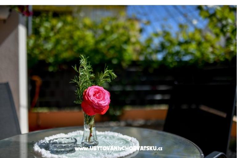 Dom wakacyjny Magdalena – foto 22