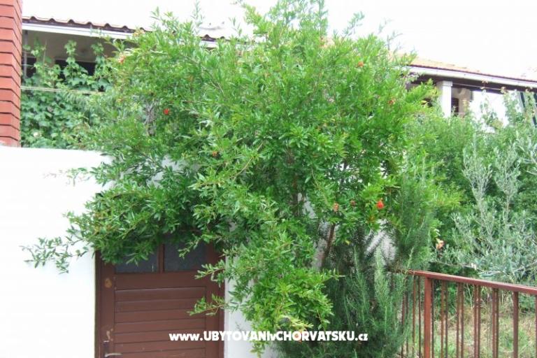Apartament Lenka – foto 5