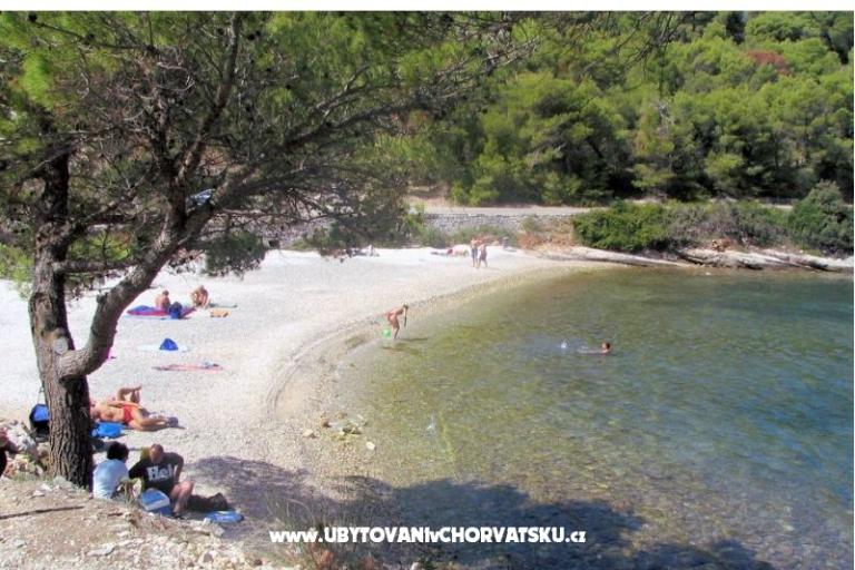 Apartamenty Beba – foto 17